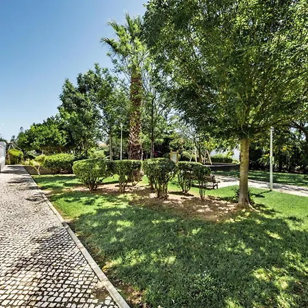 Apartman Cosmopolitan *